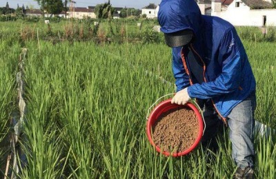 有机肥怎么施肥