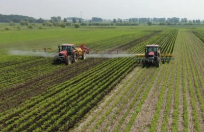 芒种的农事活动