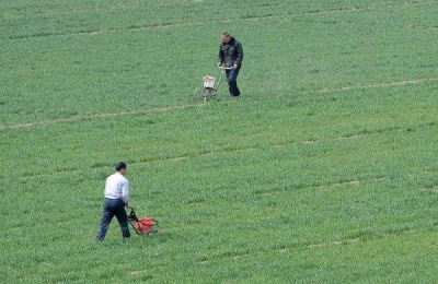 小麦返青肥什么时候施