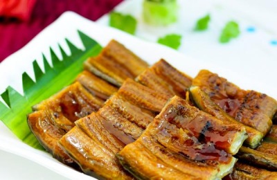 鳗鱼一斤多少钱?鳗鱼养殖利润及前景分析