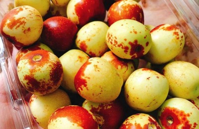 云南农村种什么最赚钱