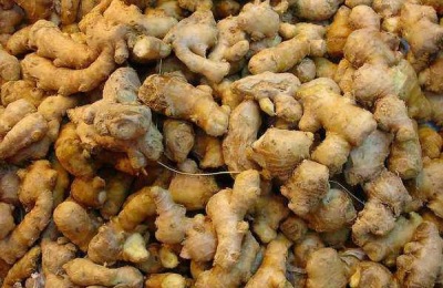 生姜的价格是多少？生姜种植的成本和利润是多少