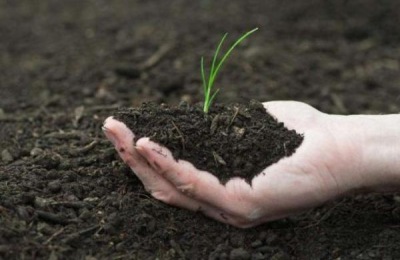 腐熟有机肥怎样配制