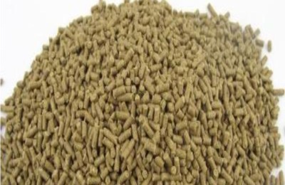 盘点常见的饲料种类