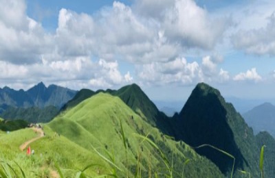 清明节的习俗有哪些