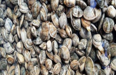 青岛有哪些特产？介绍八大著名特产