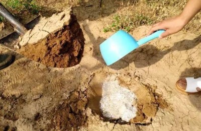 追肥用什么肥料