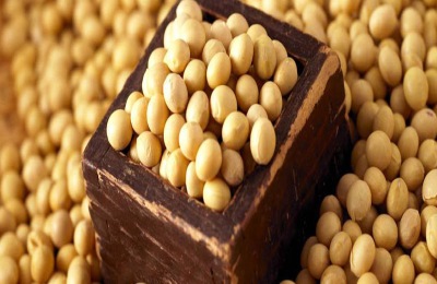 在家加工什么可以赚钱？这些很多人说是好项目