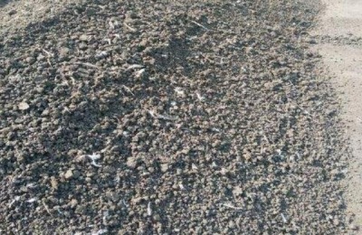 羊粪有机肥发酵方法