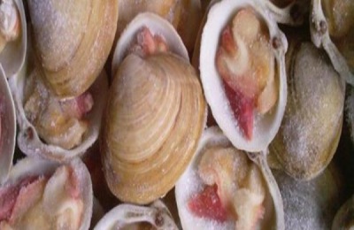 北极贝产地在哪里？北极贝养殖前景分析