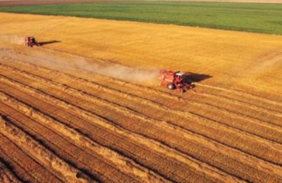 山东鸡蛋价格创年内新低,未来蛋鸡养殖有前景吗