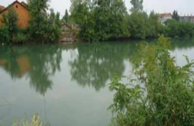 鱼塘消毒常用方法与特点