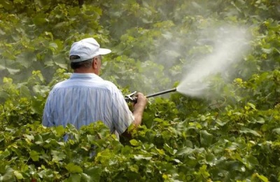 灭生性除草剂有哪些?哪些比较厉害