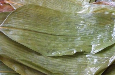 粽叶有哪些种类？分析粽叶的价格和商机