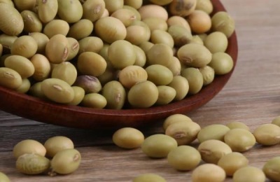 清明能种黄豆吗,种黄豆一窝几粒合适