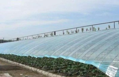 大棚薄膜怎么安装、固定、绷紧拉紧？