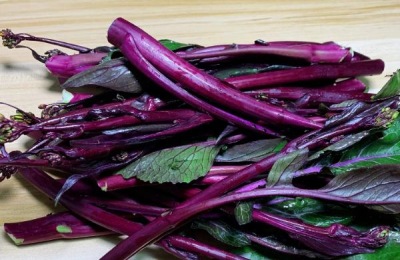 什么时节农作物生长最快