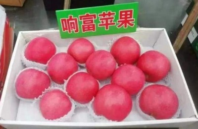 响富苹果苗多钱一棵？响富苹果品种介绍