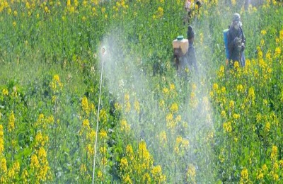 乙羧氟草醚使用范围