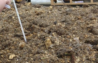 七天自制有机肥