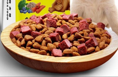 怎样养拉布拉多犬才好