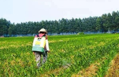 除草剂种类有哪几种?怎么分类