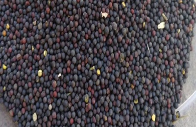 介绍满洲里市八大特产