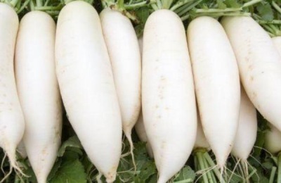 秋天有哪些作物？这些适合秋天种植