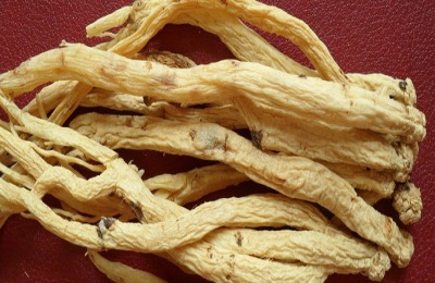 党参一斤多少钱？功效和功能是什么？(附党参栽培技术)