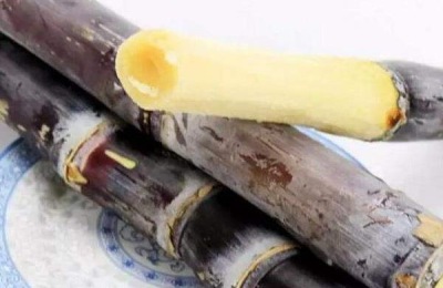 甘蔗一斤多少钱？甘蔗种植前景如何