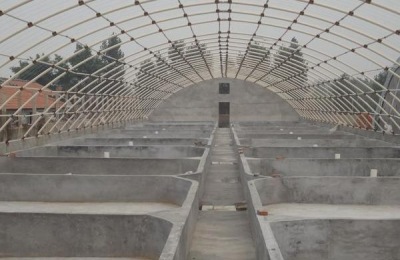 大棚养殖什么最赚钱 大棚养殖什么利润高