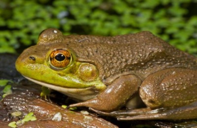 中小型农业机械有哪些规格