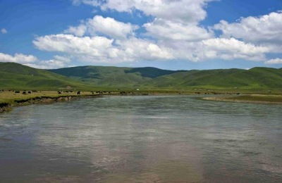 乡镇空缺业务有哪些