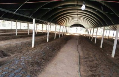 地龙一斤多少钱？养殖地龙赚钱吗