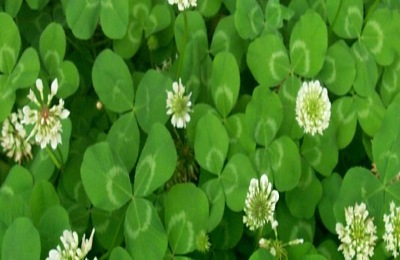 二十四节气的由来及含义