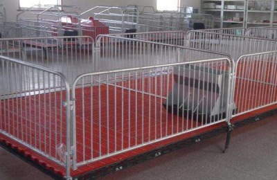 仔猪保育床图片及尺寸，价格多少钱一个？怎么安装？