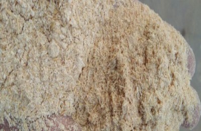 淡水虾有哪些常见品种？不同品种的价格是多少？淡水虾和虾的区别