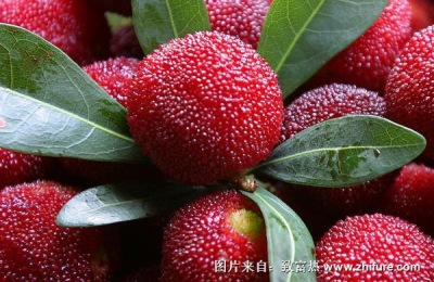 江苏宜兴有哪些特产