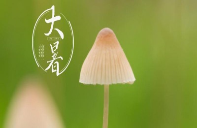 大暑节气有哪些习俗