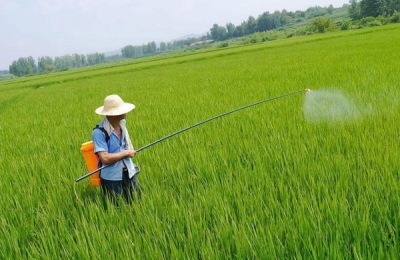 有机磷中毒洗胃液首选，2%-4%浓度的碳酸氢钠