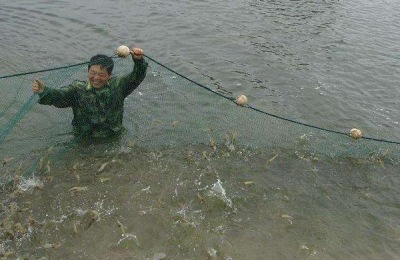 南美白对虾养殖方法，掌握这7点轻松提高产量和收益