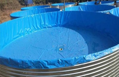 一斤鱼的价格是多少?殖前景分析(附鱼类养殖技术)