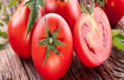 有哪些品种的无限生长番茄