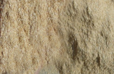 科学自配鹅饲料种类有哪些