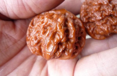 农村种植前景如何？这些值得推荐