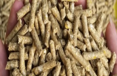 哪里有俄罗斯饲料菜种子?怎样育苗