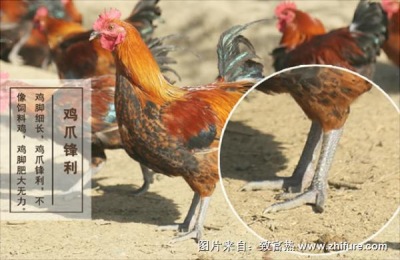 山西晋城有哪些特产?很多人都知道这些