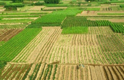 农村赚钱的方式有哪些？这四个项目值得推荐