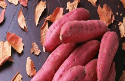 亩产三万斤红薯技术