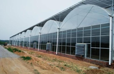 大棚降温最佳方案（常见方法），大棚降温剂有用吗？